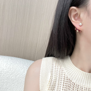 Dior Tribales Ligh Purple Earrings