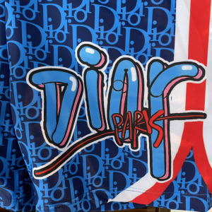 Dior Oblique Blue Shorts