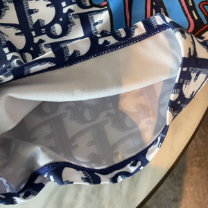 Dior Oblique Blue White Shorts