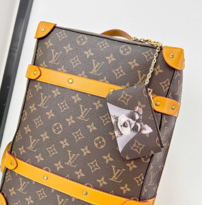 Louis Vuitton Key Pouch