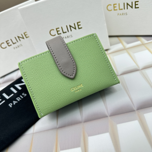 Celine small strap wallet essentials Green bicolour grained calfskin Celine small strap wallet essentials Green bicolour grained calfskin