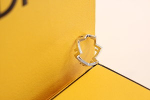 Fendi Crystal F Five Rings