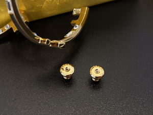 Fendi First Crystal Earrings