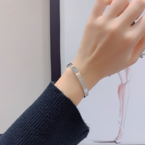 Cartier Love Bangle Bracelets