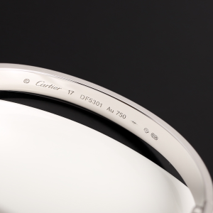 Cartier Love Bangle Bracelets