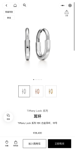 Tiffany Lock White Gold Earrings