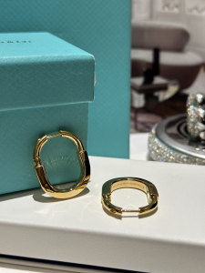 Tiffany Lock Yellow Gold Earrings