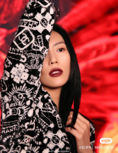 Chanel Coco Neige Black Jacket