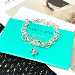 Tiffany Gift Box Lock Bracelet Silver