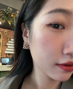 Loewe Crystal Anagram Pave Earrings