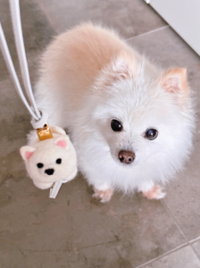 Loewe White Chow Chow Charm