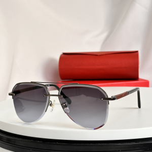 Cartier Luxury Eyewear Sunglasses CT0387 Grey Cartier Luxury Eyewear Sunglasses CT0387 Grey