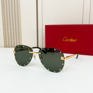 Cartier Eyewear Sunglasses CT8158S Green Cartier Eyewear Sunglasses CT8158S Green