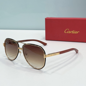 Cartier Santos de Cartier Eyewear Sunglasses CT0992S Brown Cartier Santos de Cartier Eyewear Sunglasses CT0992S Brown