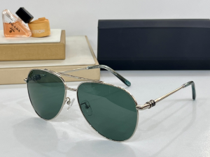 Armani Eyewear Sunglasses EA4025 Green