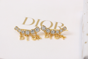 Dior Diorevolution Earrings