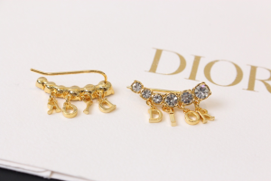 Dior Diorevolution Earrings