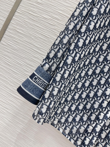 Dior Blue Oblique Cotton Shirt