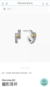 Tiffany Edge Diamonds Earrings