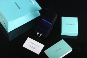 Tiffany Edge Diamonds Earrings