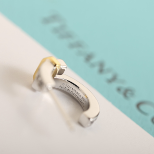 Tiffany Edge Diamonds Earrings