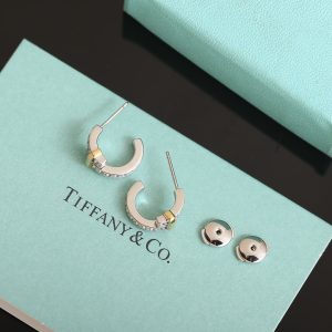 Tiffany Edge Diamonds Earrings