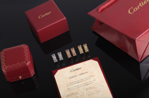 Cartier De Cartier Clash Earrings