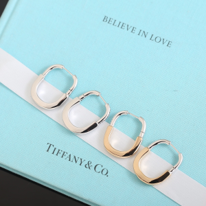 Tiffany Lock Diamonds Earrings