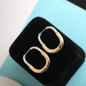 Tiffany Lock Diamonds Earrings