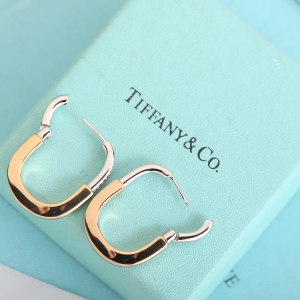 Tiffany Lock Diamonds Earrings