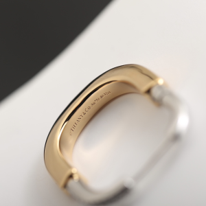 Tiffany Lock Diamonds Earrings