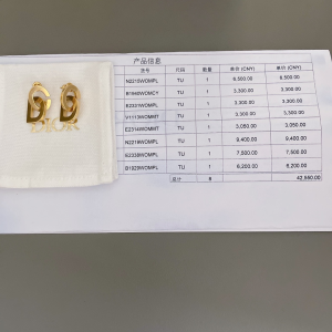 Dior CD Lock Drop Earrings