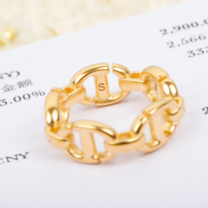 Dior Gold CD Navy Rings