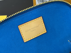 Louis Vuitton Sunglasses Pouch Blue