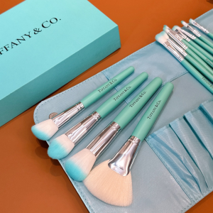 Tiffany Makeup Brushed and Tools